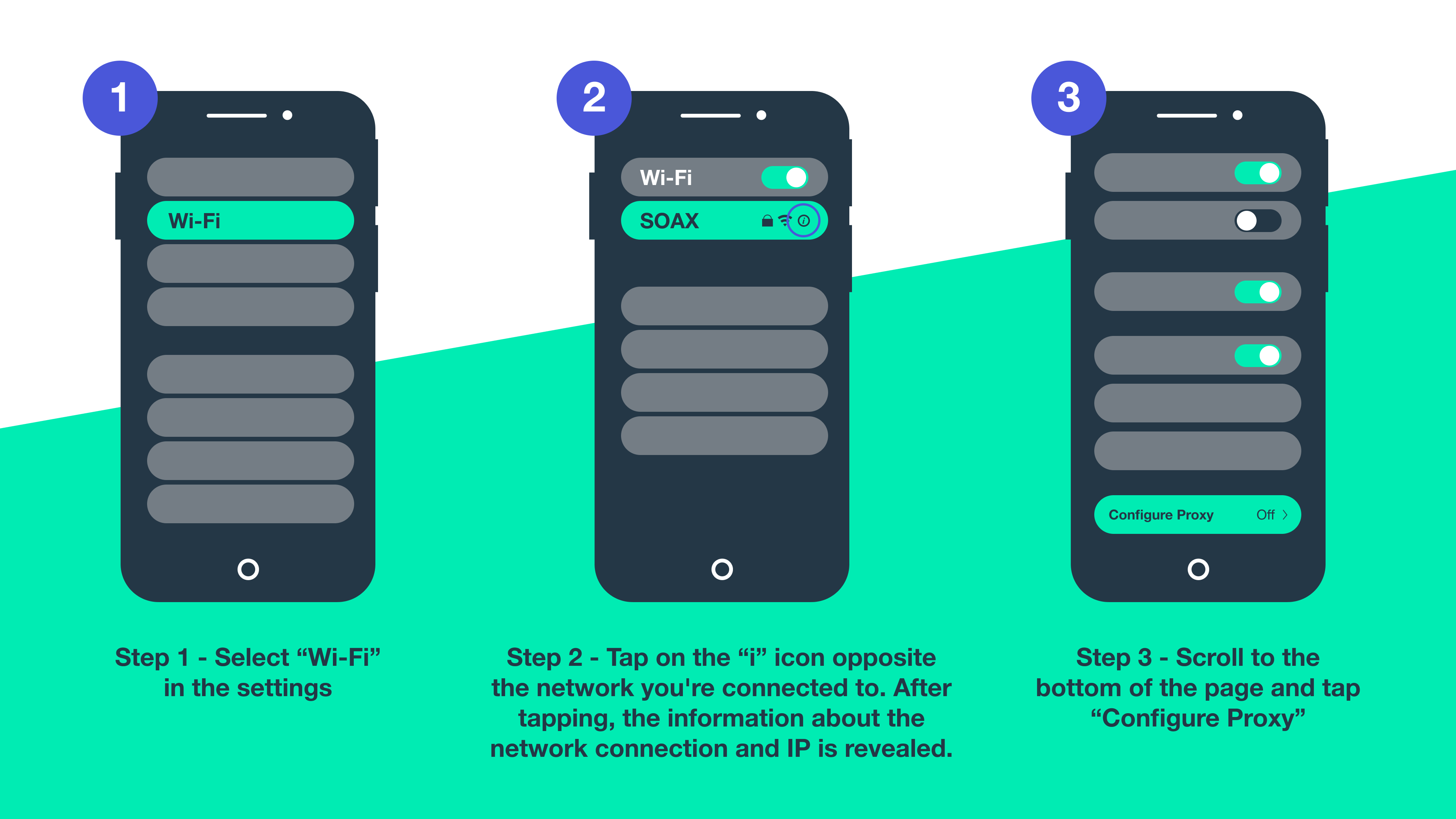 Proxy Server on iPhone or iPad 2