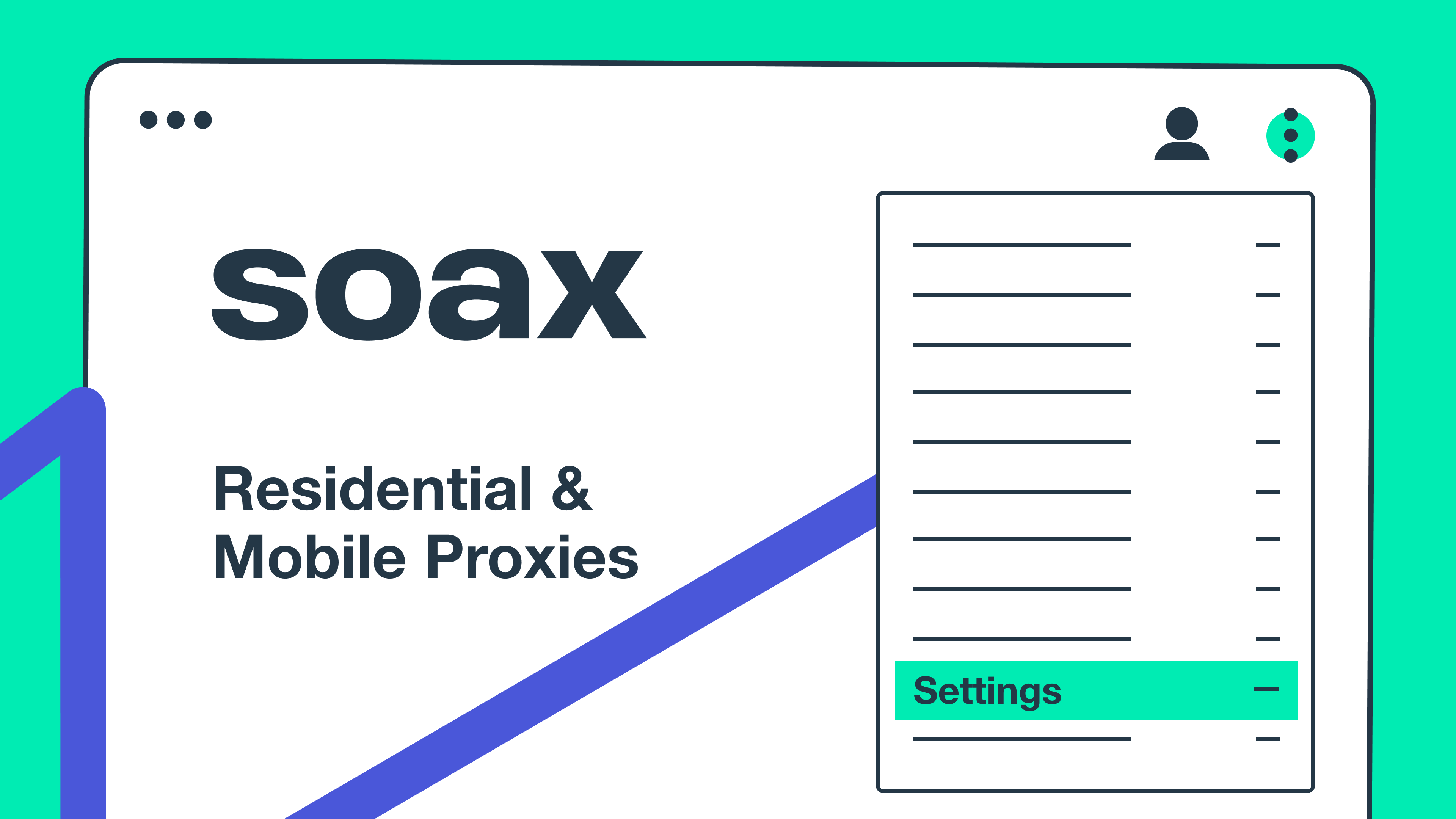Proxy in Chrome 3