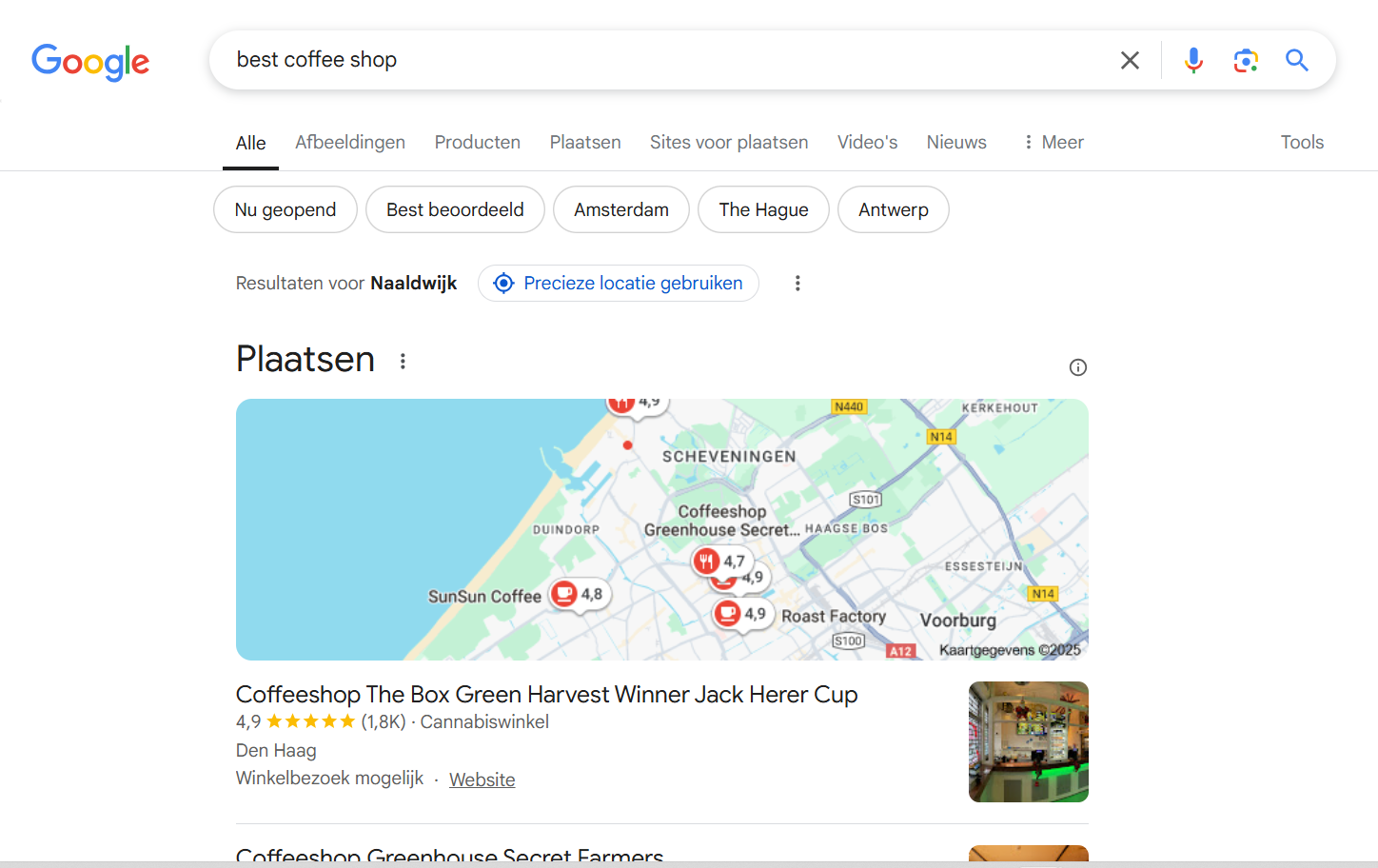 search1 (1)