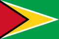 Guyana flag